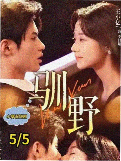 归途列车海报
